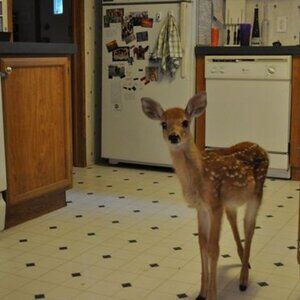 just here shoppin' for clothes!